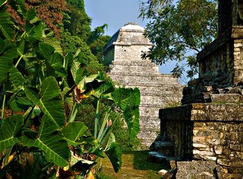 View of plants and trees