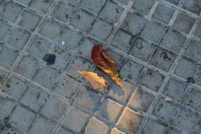 High angle view of cobblestone