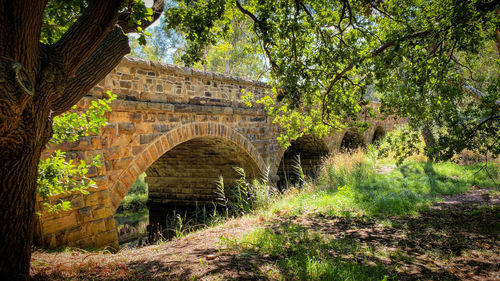 Arch bridge in forest