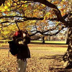 People standing on tree during autumn