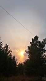 Silhouette trees against sky during sunset