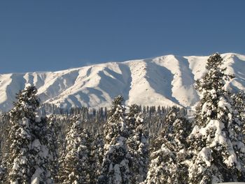 Scenic view of snow covered mountains against blue sky