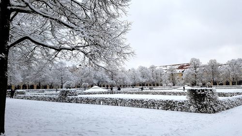 Bare trees on snow covered landscape against sky