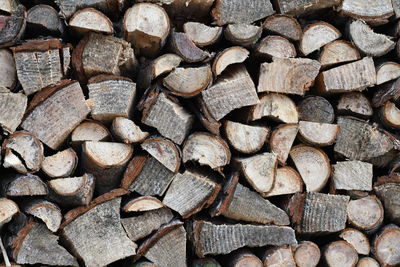 Full frame shot of wood stack in forest