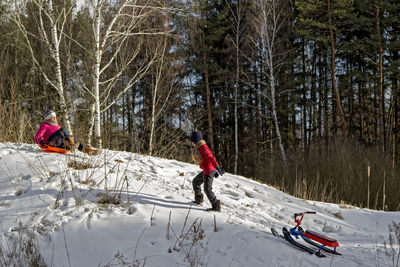 People sledding on snow in forest