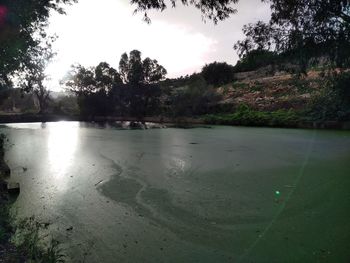 Scenic view of lake in forest against sky