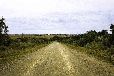 Road amidst trees against sky