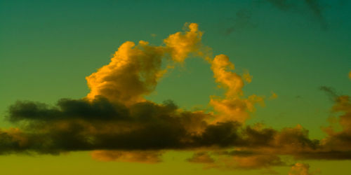 Low angle view of trees against sky during sunset