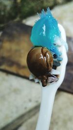 Close-up of shell on blue table