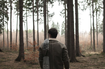 Rear view of man standing by trees in forest