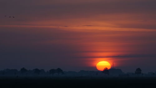 Silhouette trees on field against orange sky