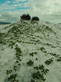 Scenic view of snow covered land against sky