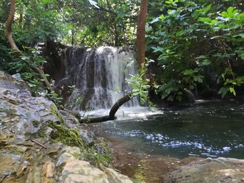 Scenic view of waterfall in forest