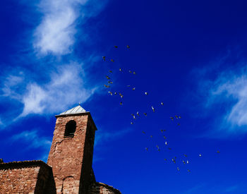 Low angle view of birds flying against blue sky