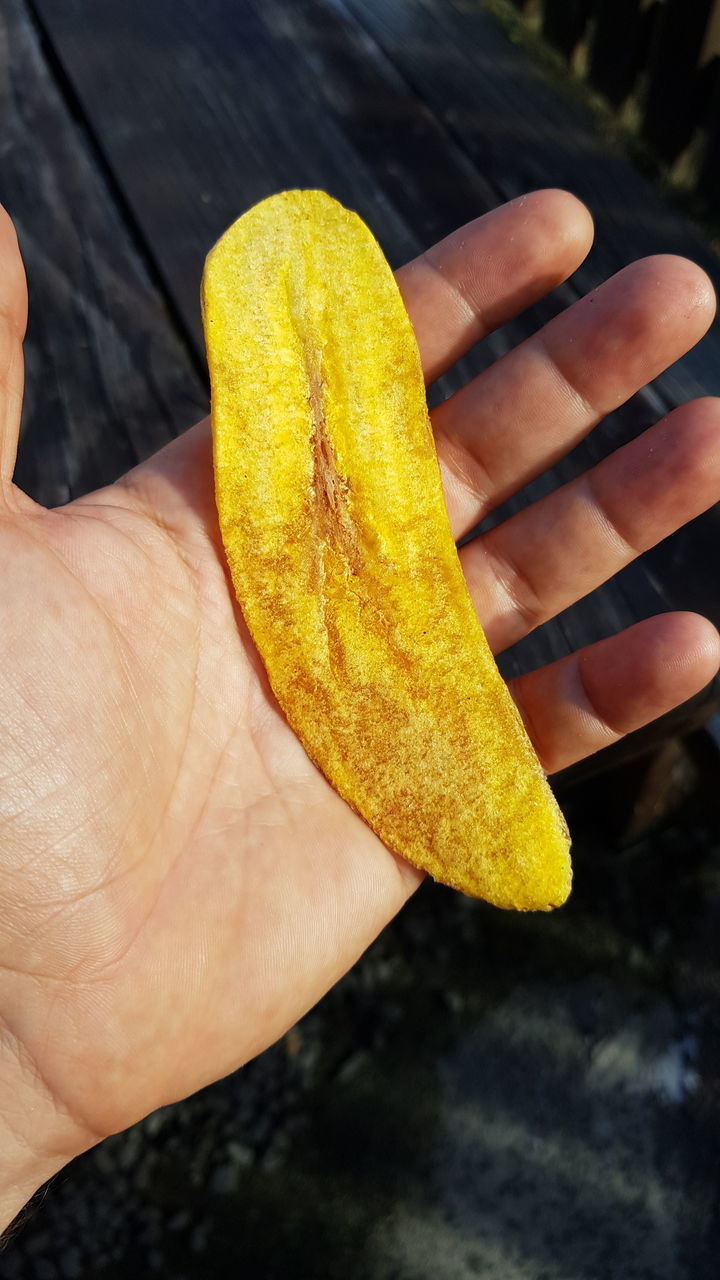 HIGH ANGLE VIEW OF PERSON HAND HOLDING BREAD