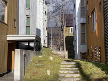 Empty footpath amidst buildings