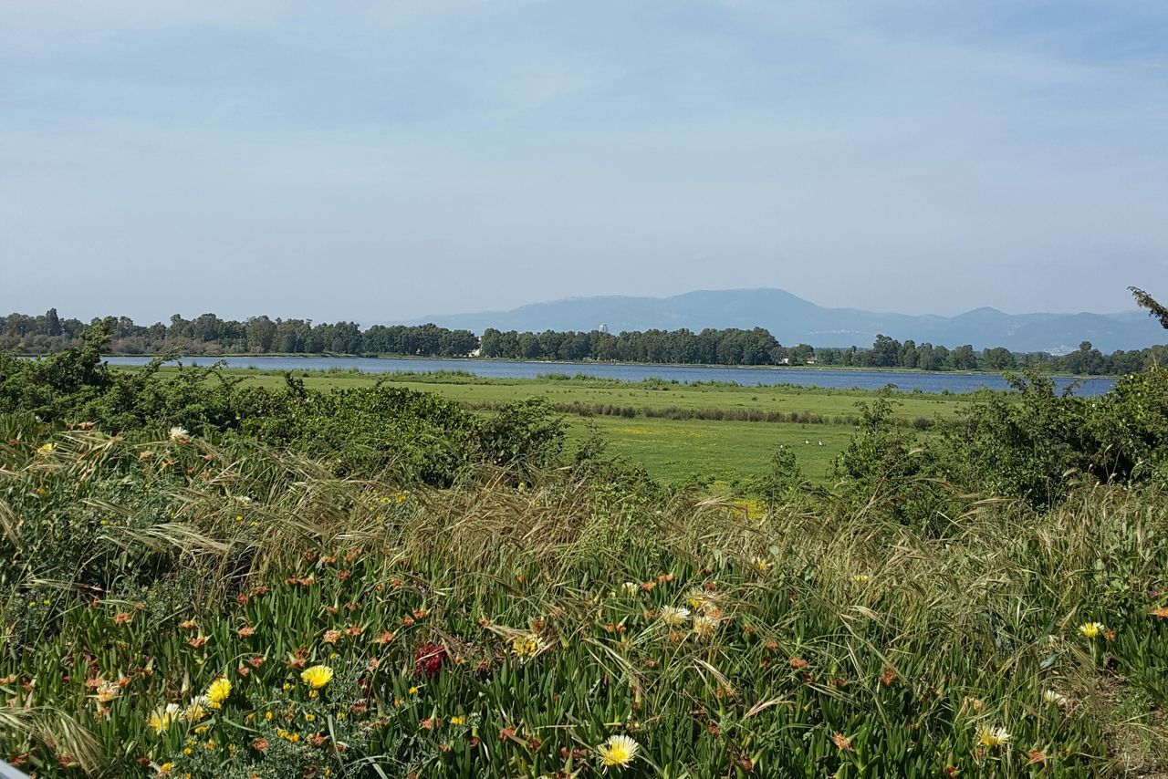 Lago fogliano