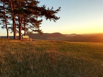 Scenic view of field against sky during sunset