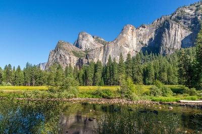 Scenic view of landscape against clear blue sky