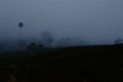 Silhouette trees on field against sky at dusk