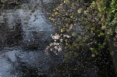 High angle view of water