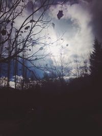 Low angle view of bare trees against sky