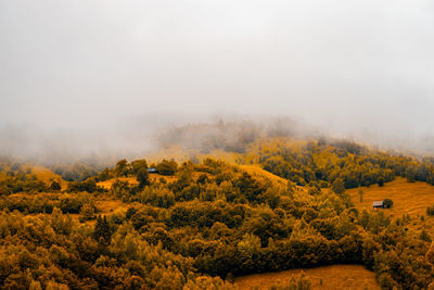 Autumn panoramic landscape of a hill forest in moieciu de jos, brasov, transylvania, romania.