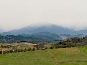 Scenic view of landscape against sky