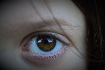 Cropped portrait of woman with brown eyes