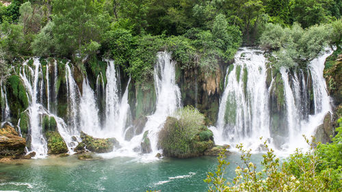 Scenic view of waterfall in forest