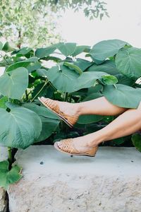 Low section of woman by plants