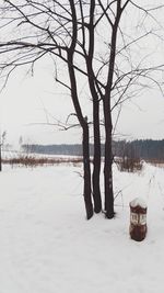 Bare tree by sea against sky