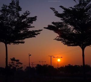 Silhouette trees against sky during sunset