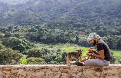 Side view of man feeding dog while sitting on stone wall