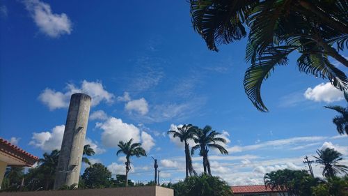 Low angle view of palm trees against cloudy sky