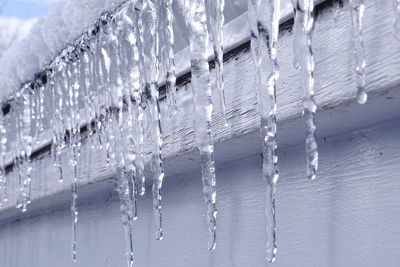 Close-up of icicles hanging on frozen water