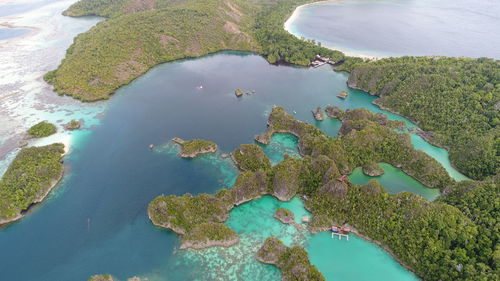 High angle view of plants on beach