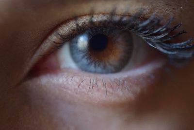 Close-up portrait of human eye