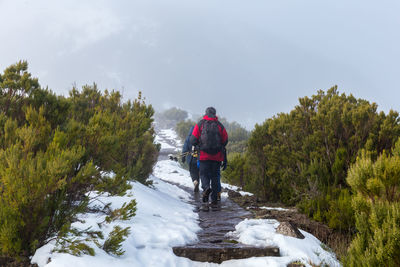 Rear view of man on snow covered mountain