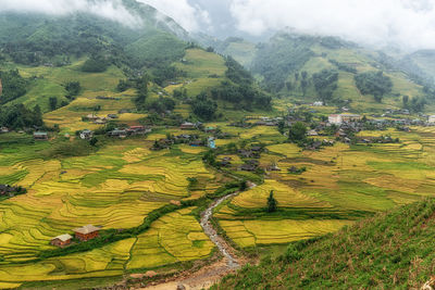 landscape