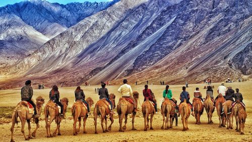 Panoramic view of horses on mountain