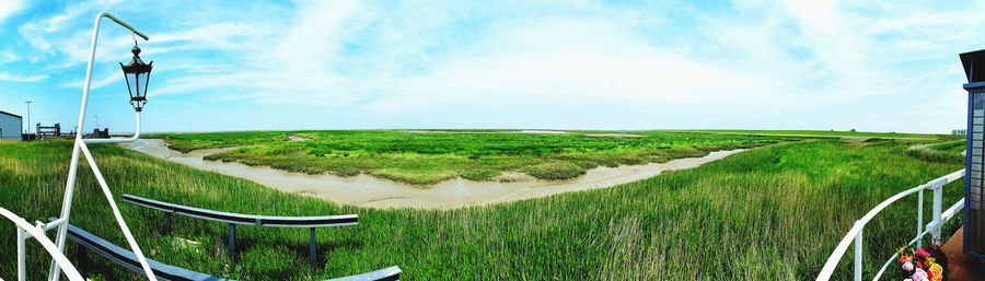 Scenic view of field against sky