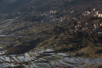 High angle view of agricultural landscape