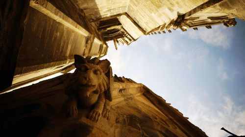 Low angle view of a horse against the sky