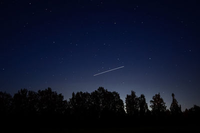 Low angle view of silhouette trees against sky at night