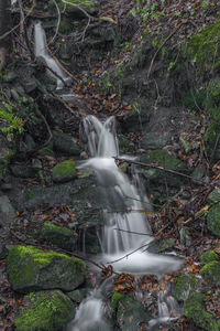 Waterfall in forest