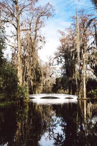 Scenic view of calm lake