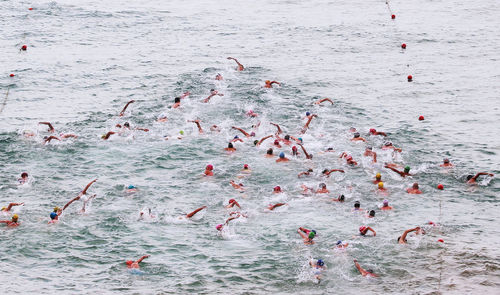 Swimmers in sea during sports race