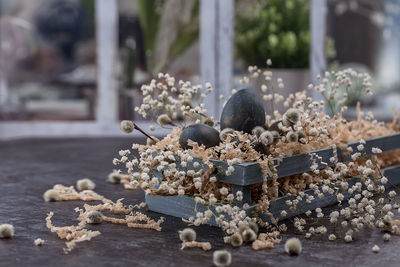 Close-up of flowers on table