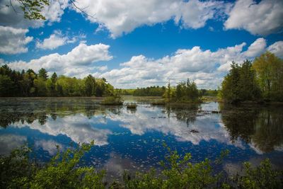 Reflection of clouds and trees on pond at borderland state park